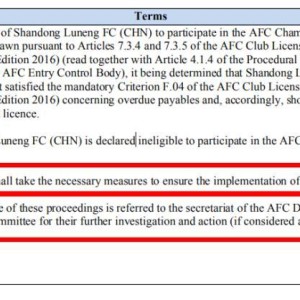 半岛体育-揭秘泰山被罚①：亚足联1个月前告知 上诉基本没用